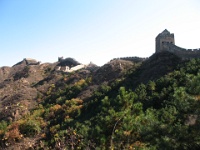 2011China 447